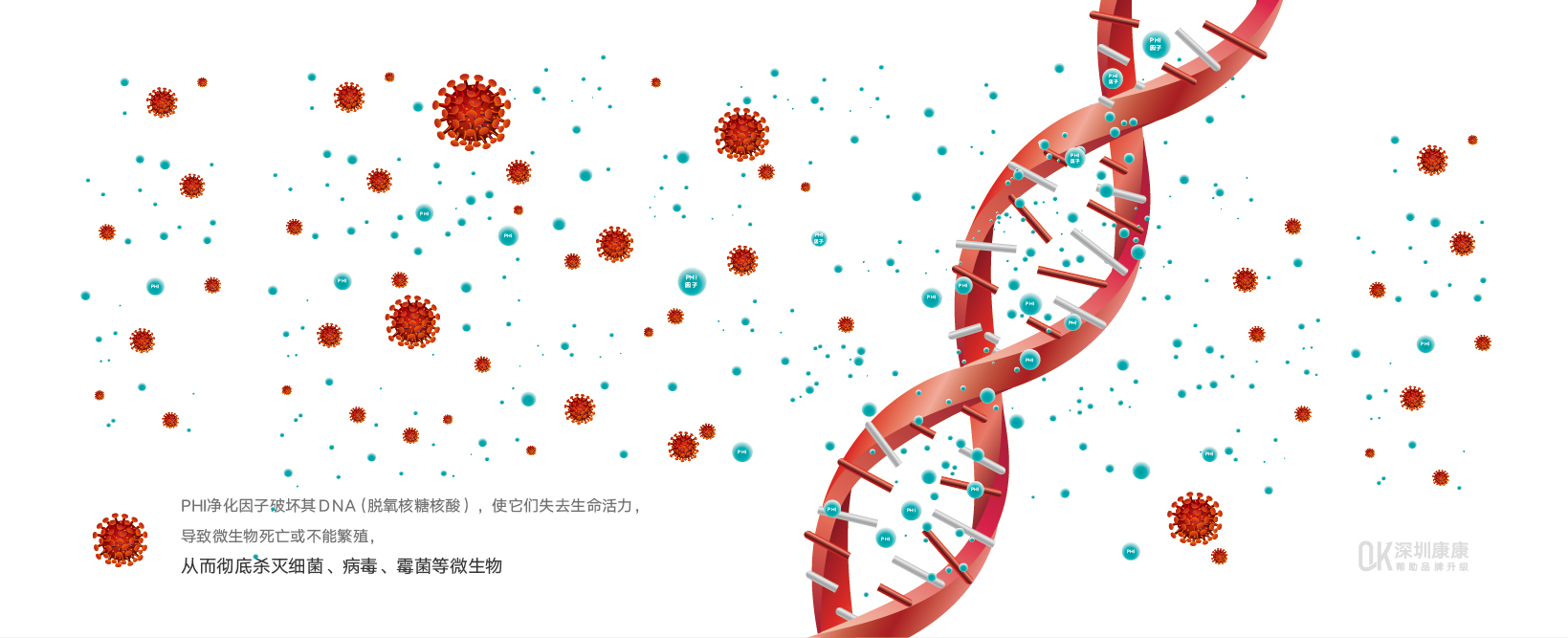 网站案例详情-67