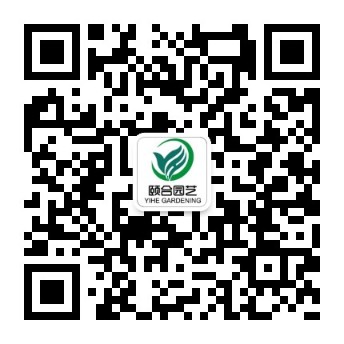 qrcode_for_gh_80894a51760d_344