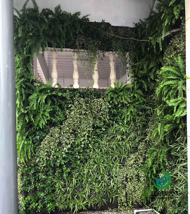 宁波鄞州区潜龙街厕所植物墙绿化工程案例