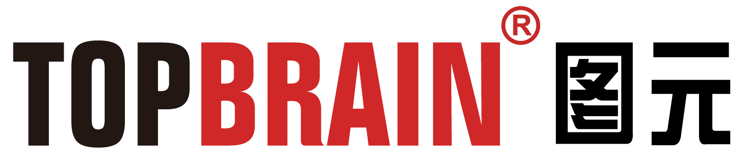 logo图片TOPBRAIN2018