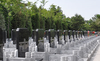 黄岛龙雀山陵园公墓风水图