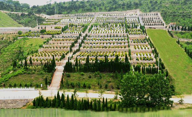 贾汪北山公墓图片