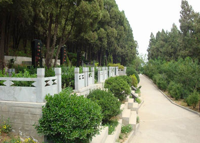 茂岭山公墓图片