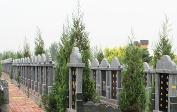 日照后楼公墓都城公墓日照东港黄山公墓日照东港区千秋苑公墓风水