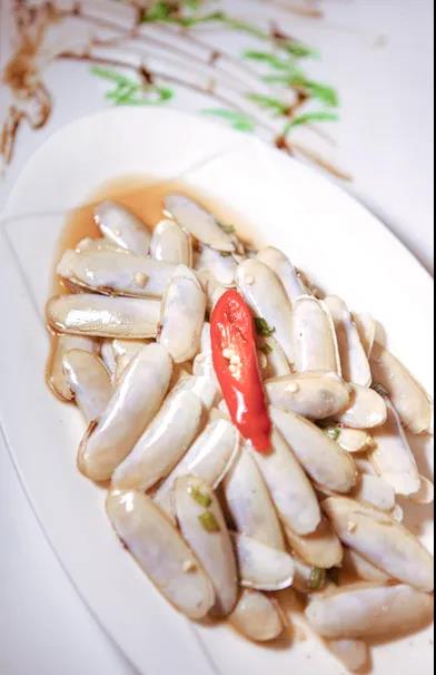霞浦独有的滩涂美味剑蛏