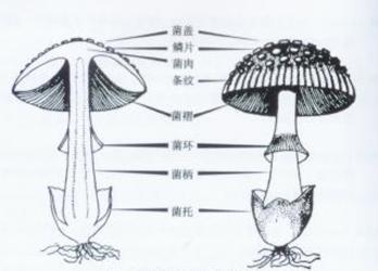 http://www.dgwsjd.gov.cn/userfiles/image004.jpg