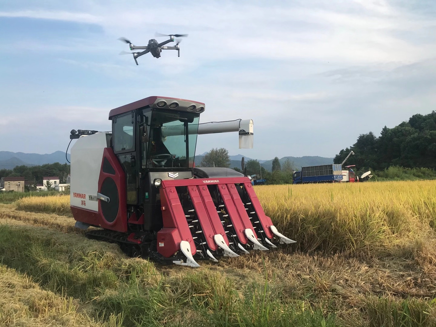 洋马作为第一家进入中国的中日合资企业,开创了国外半喂入联合收割机