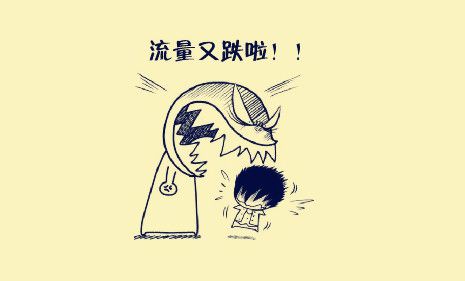 网站流量不稳定
