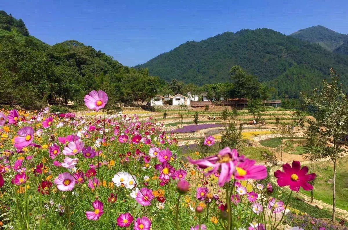 蕪湖丫山風景區拓展訓練(蕪湖迷途拓展基地)