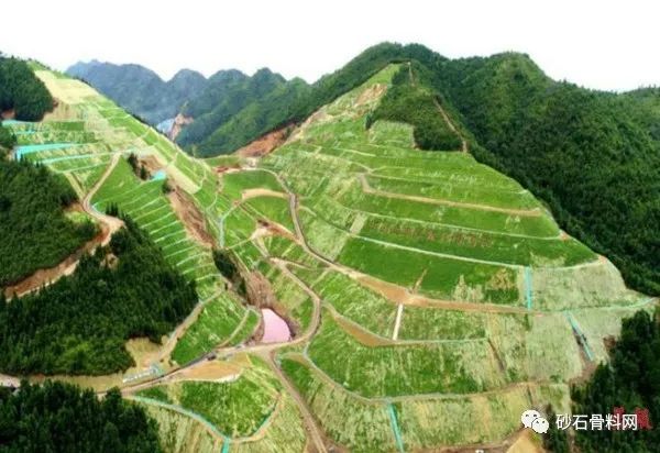 修复后的矿山被一片片林地和耕地覆盖