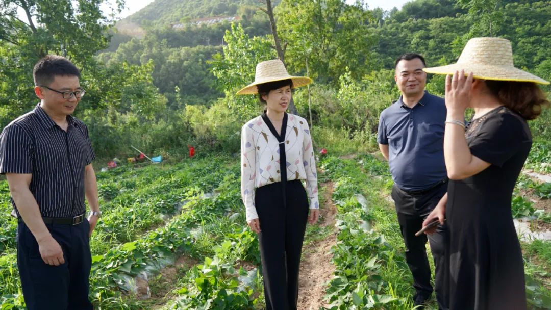 陕西西乡县王亚珍调研指导绿色矿山建设和农业产业发展工作
