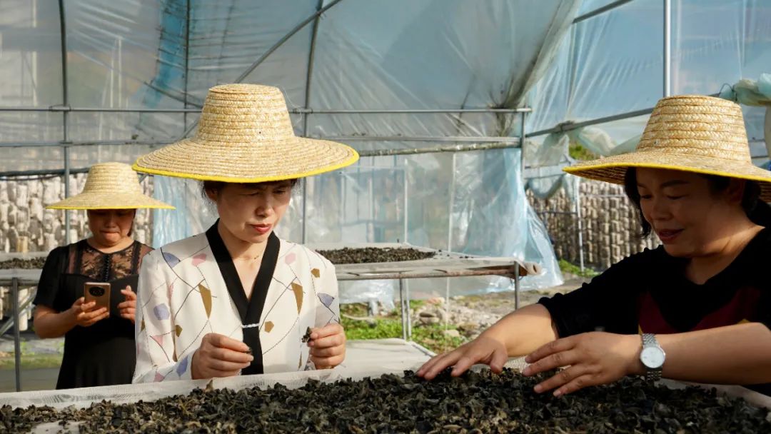 陕西西乡县王亚珍调研指导绿色矿山建设和农业产业发展工作