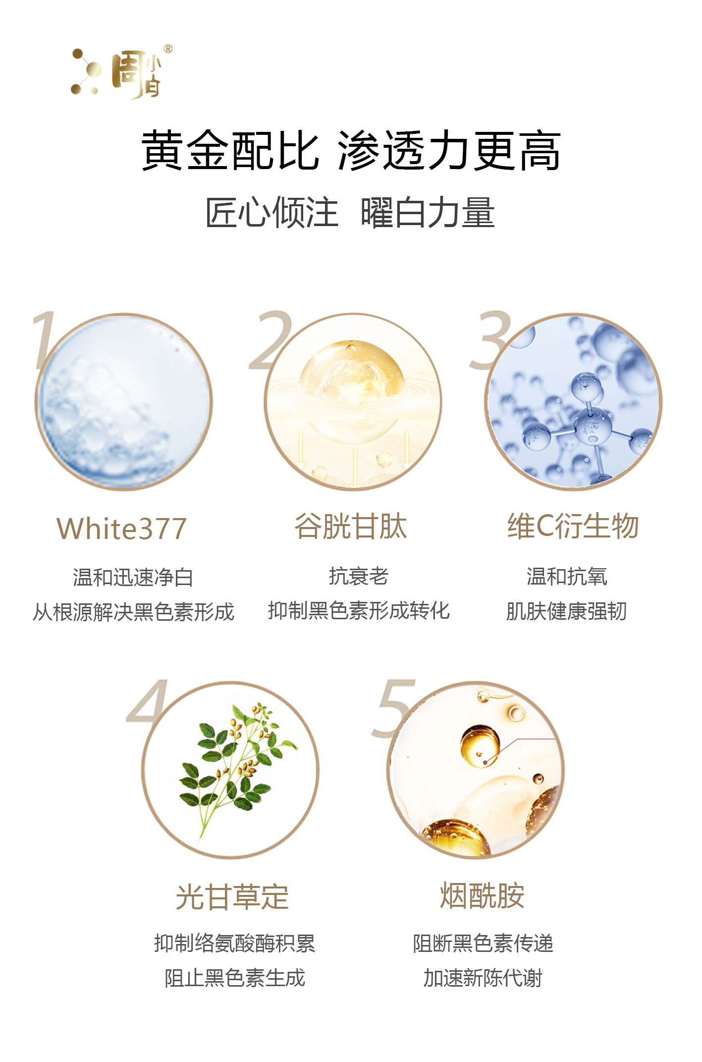 谷胱甘肽--成分