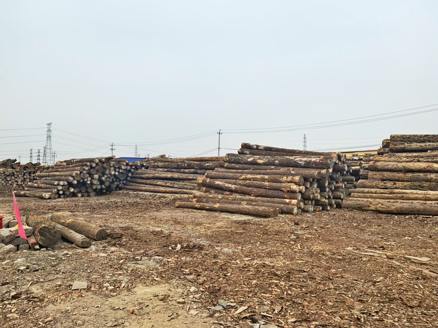 5353906_meitu_1