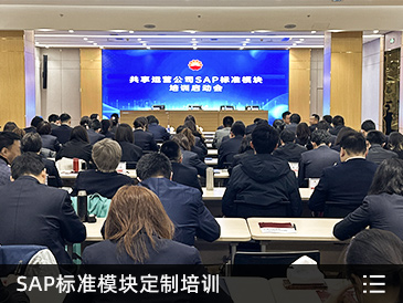  SAP标准模块定制培训