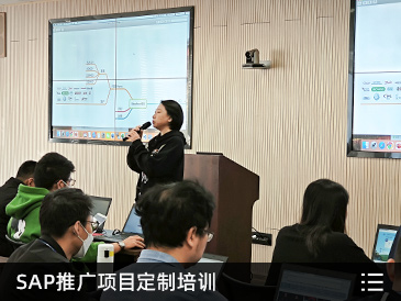 SAP推广项目定制培训
