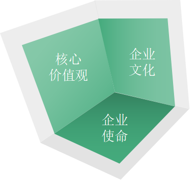 图片31