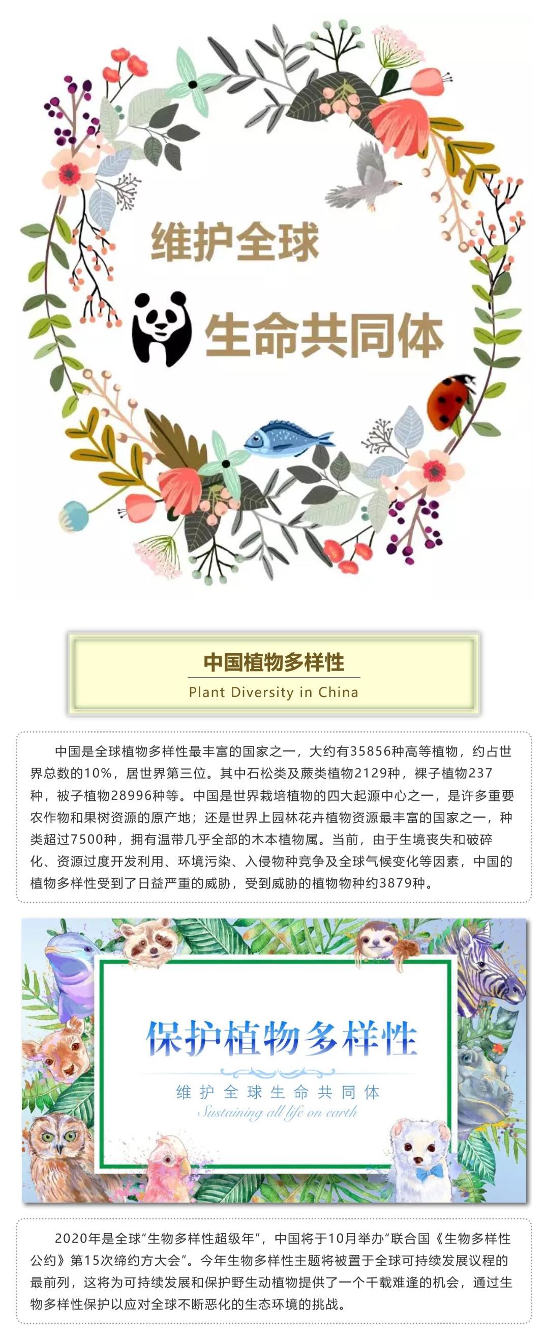 第七期中国苏铁植物保护植物多样性维护全球生命共同体