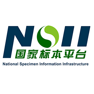 NSII