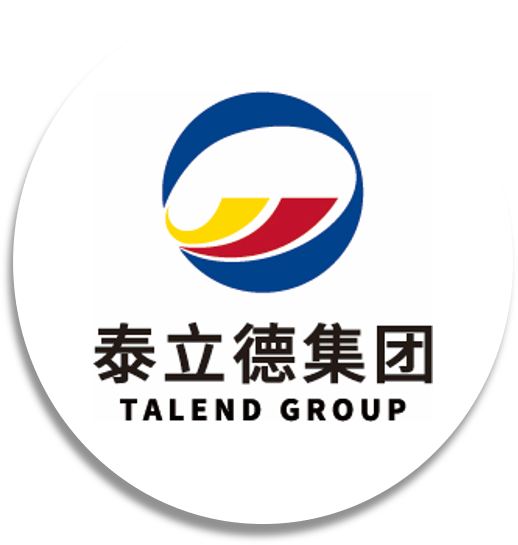 Talend Group Logo