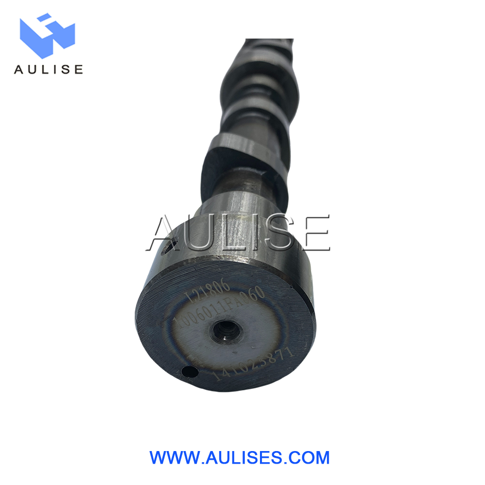 1006011FA060-1副本