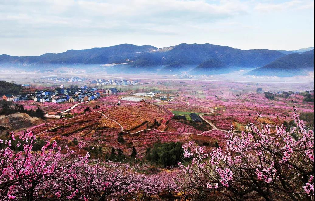 宁海东山村图片