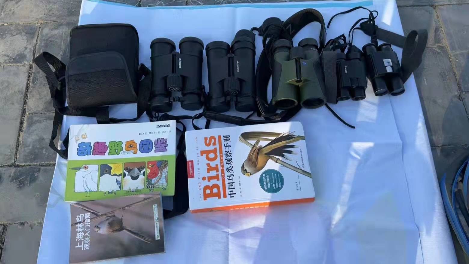 发现一只鸟城市精灵观鸟系列课龙子湖站