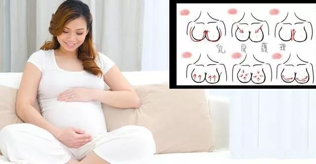 【孕妇学校】孕期及哺乳期的乳房护理