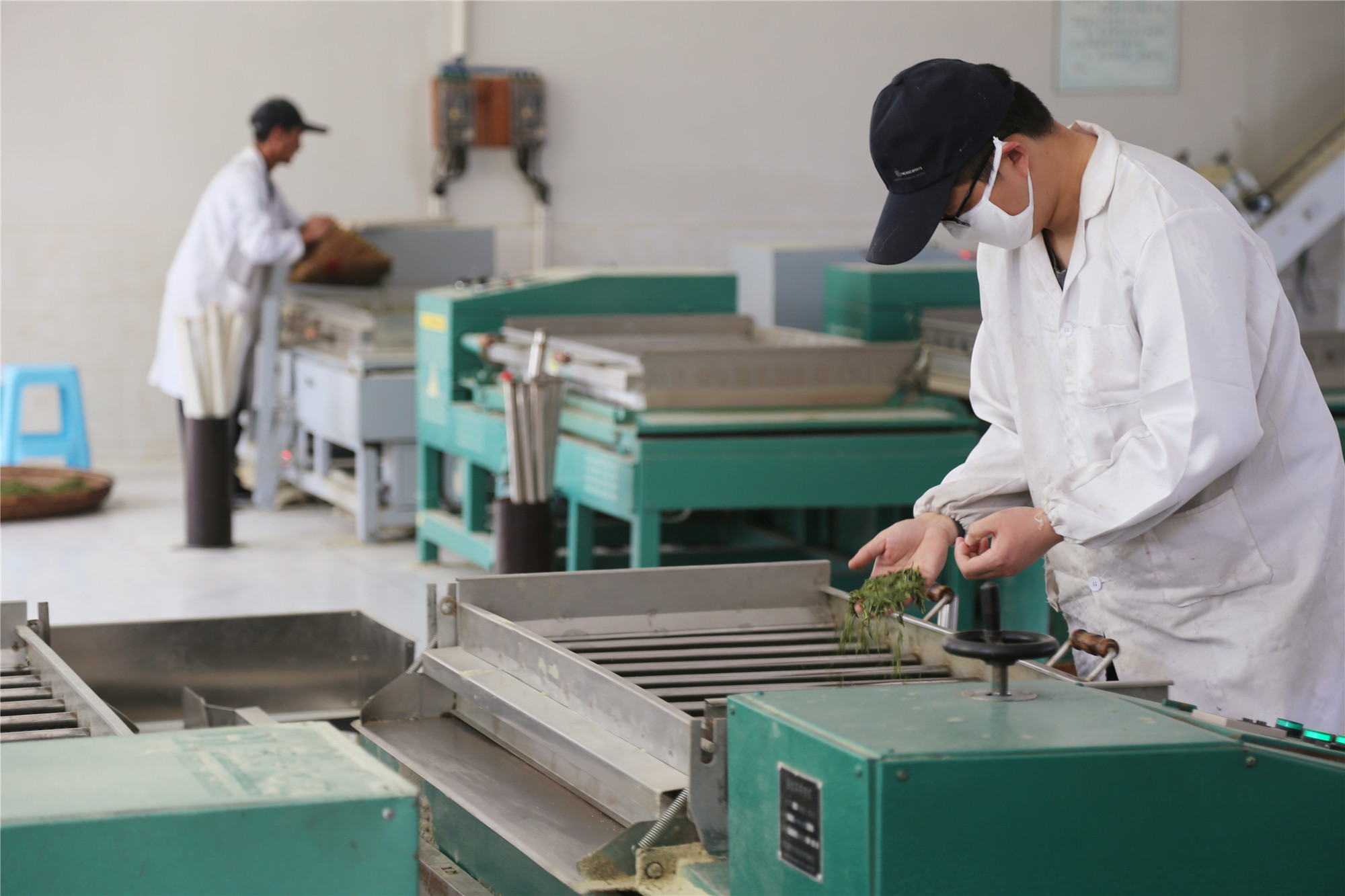 近年来,通过大力发展良种茶园,做优做强茶叶精深加工,着力推进茶叶