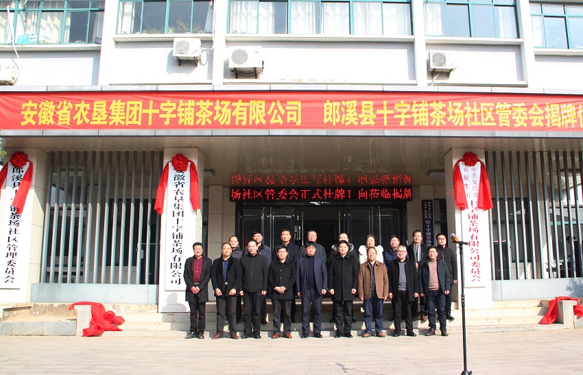 郎溪县十字铺茶场社区管理委员会正式挂牌