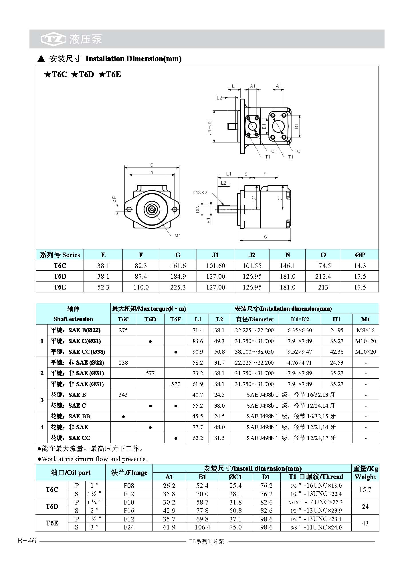 T6叶片泵_页面_5