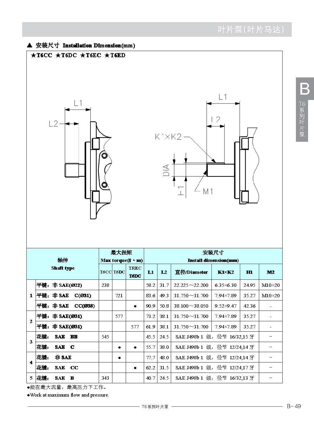 T6叶片泵双_页面_3