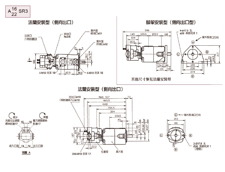 A16A22系列双联叶片泵说明书2