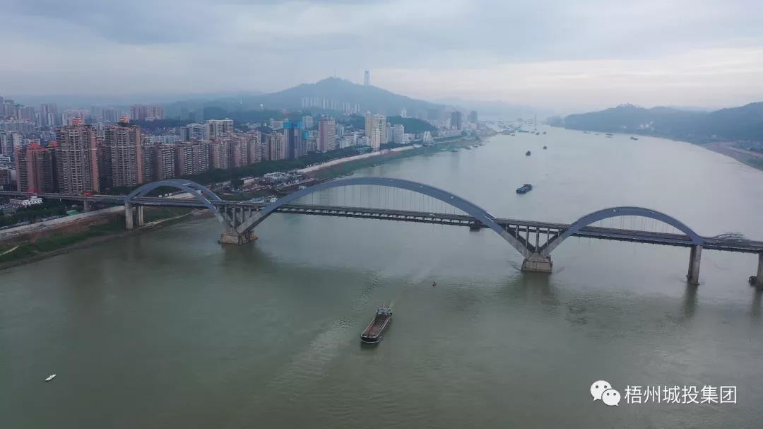 梧州高旺大桥夜景图片