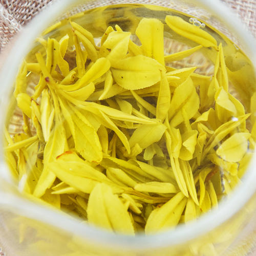 黄金芽茶叶多少钱一斤