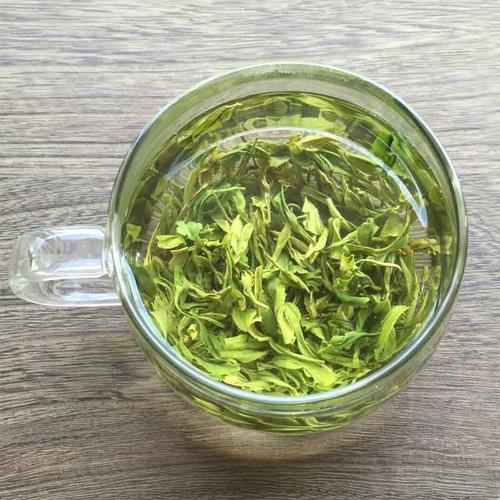 绿茶适合什么季节喝