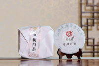 老树白茶-IMG_1645