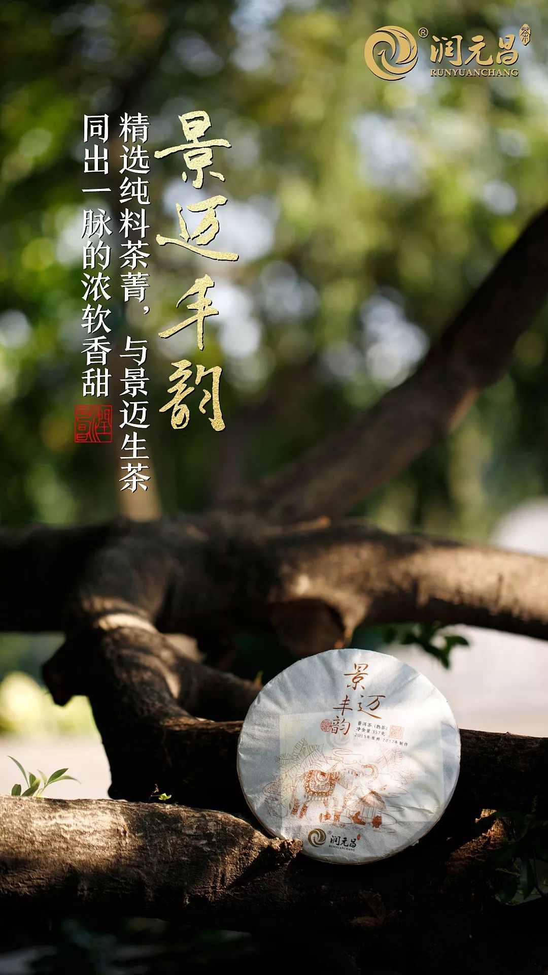 润元昌景迈丰韵普洱茶