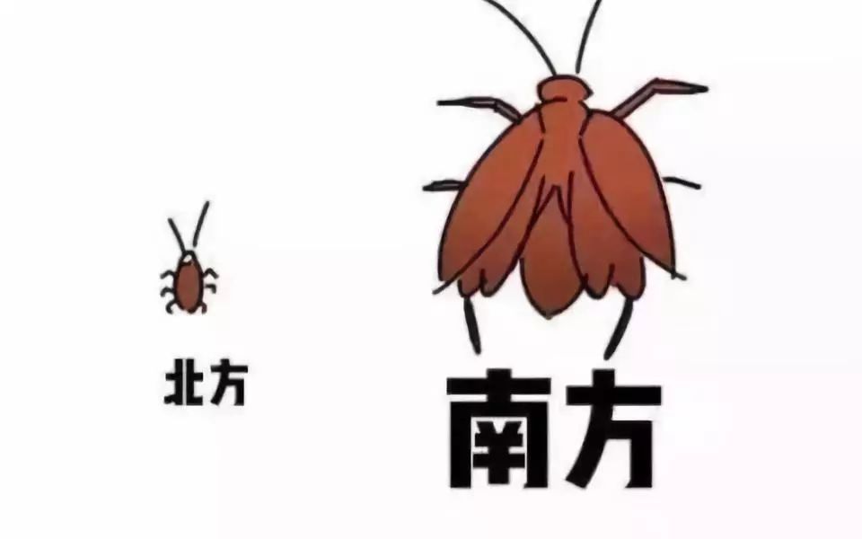 润元昌南北差异3