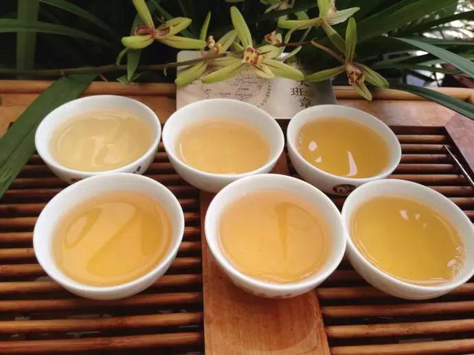 班章欲来风已醉