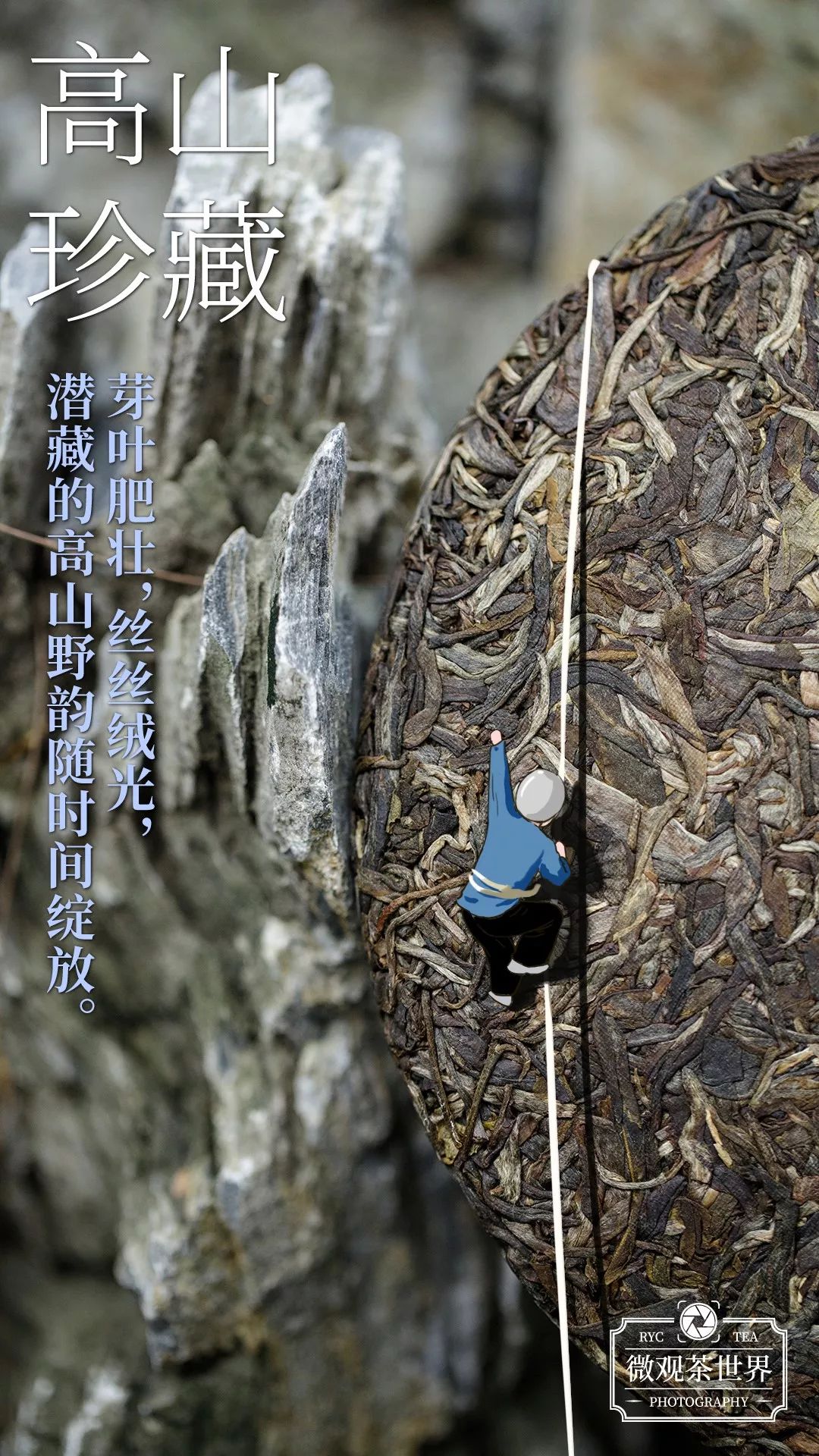 润元昌高山珍藏