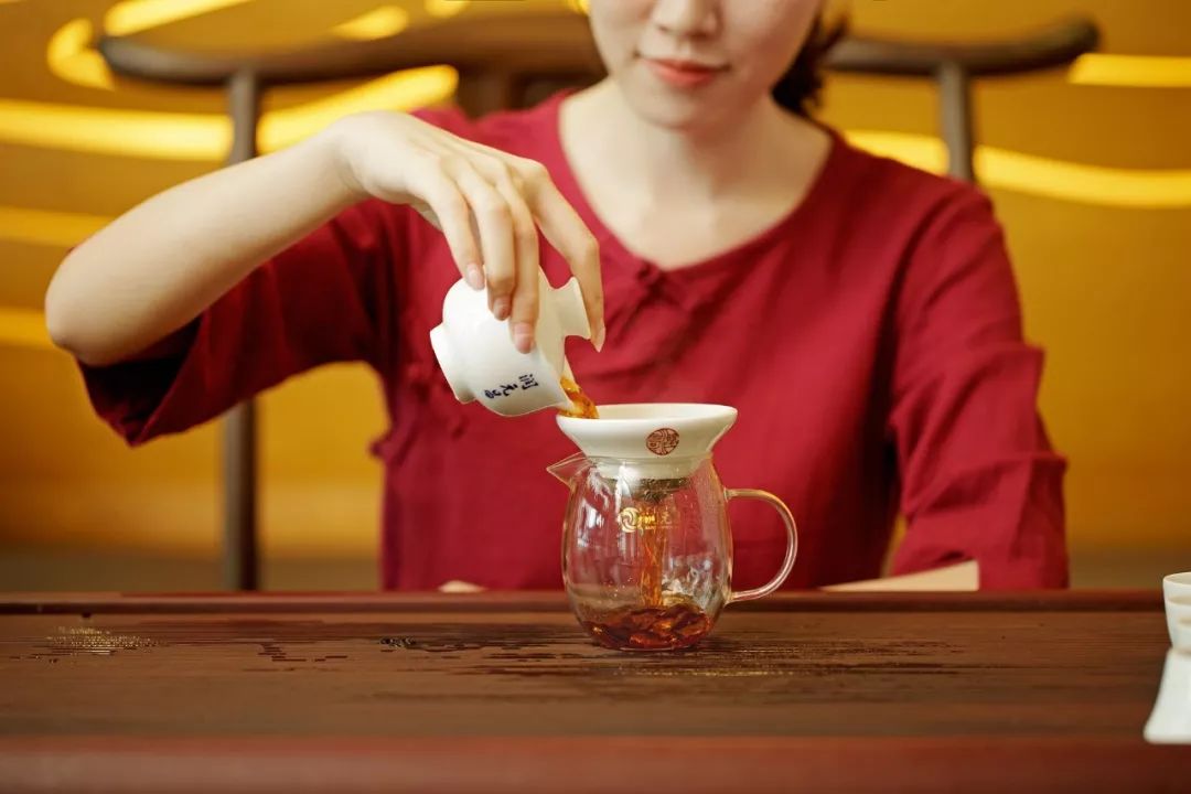 乳液成普洱茶科普-1