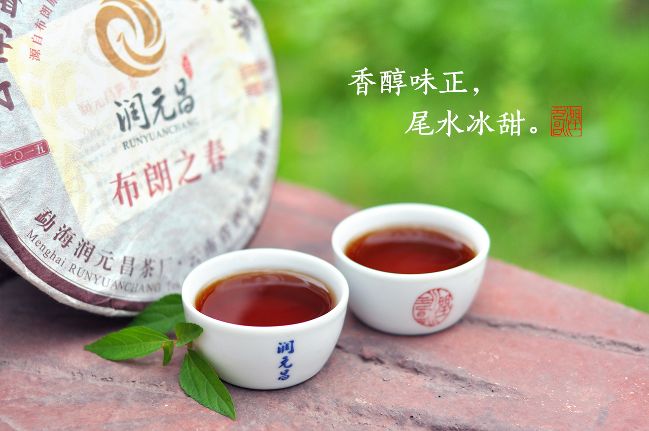 润元昌普洱茶布朗之春茶汤