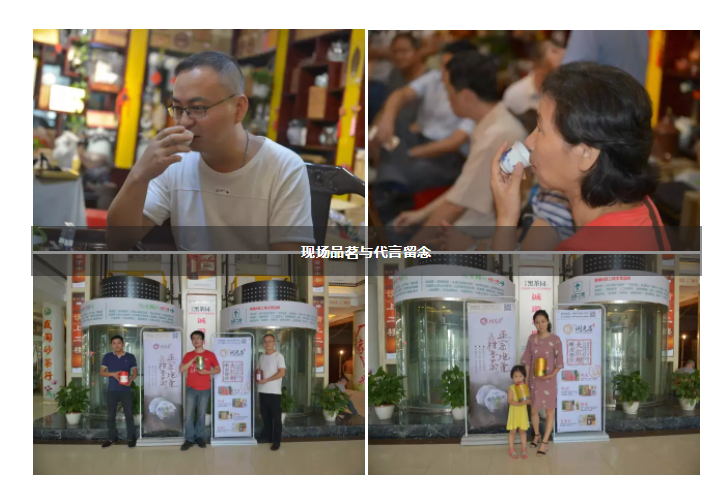 润元昌小青柑品鉴会