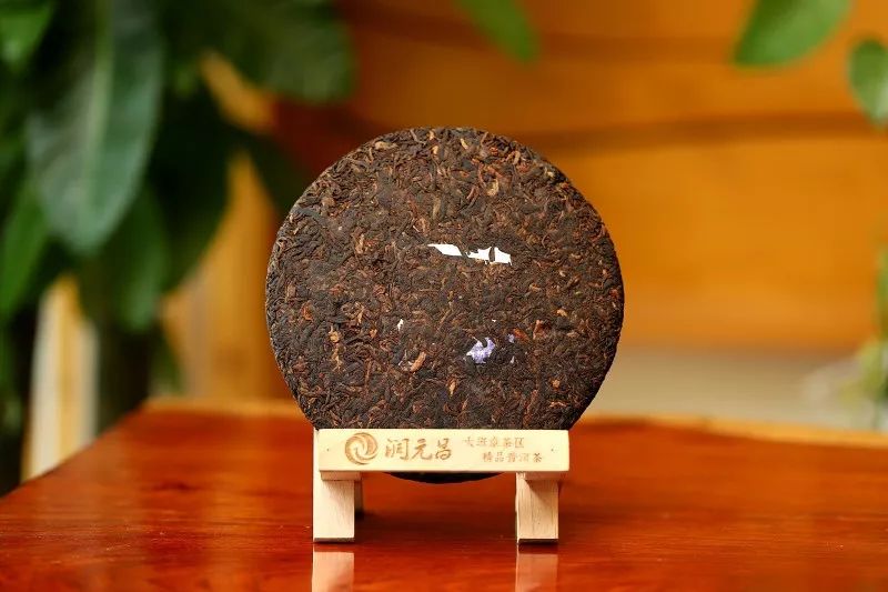 润元昌中国好韵国民熟茶品鉴会-2