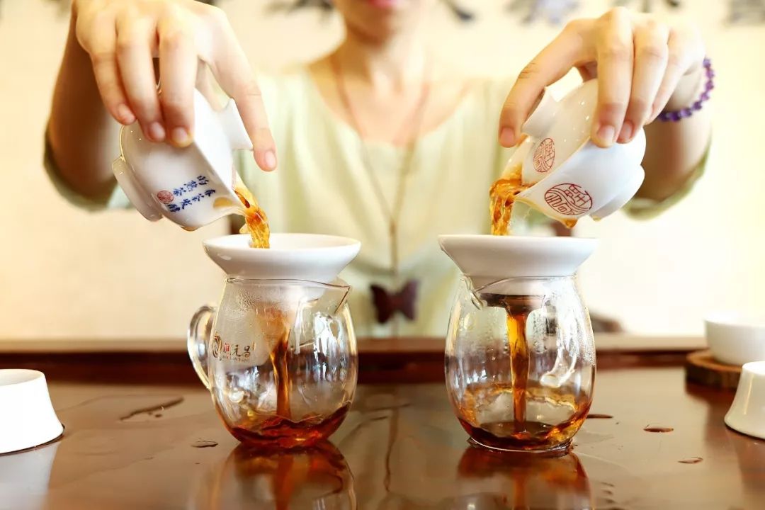 润元昌中国好韵国民熟茶品鉴会-3