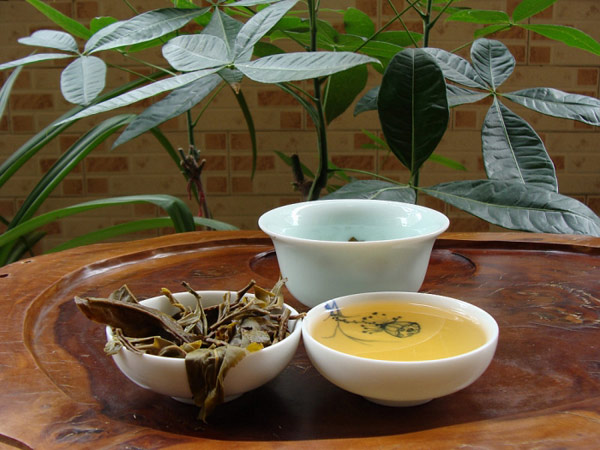 润元昌普洱茶大班章一号