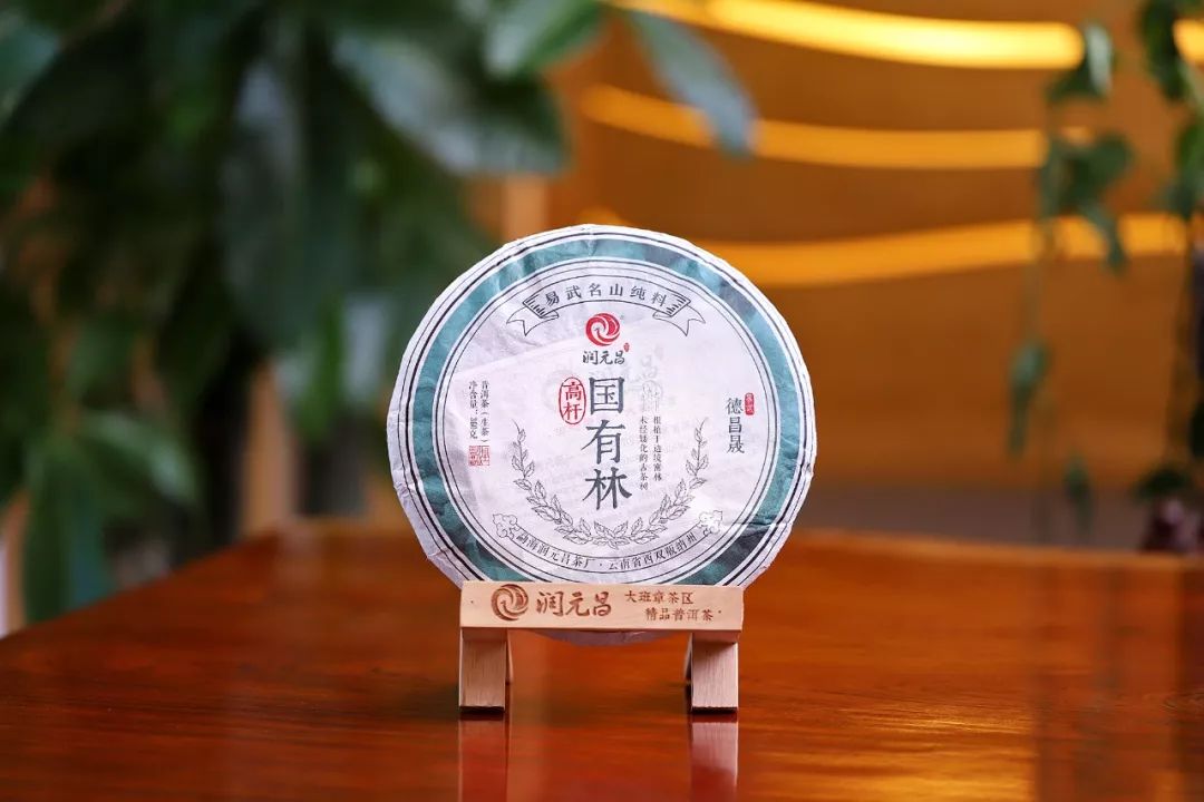 润元昌刮风寨国有林茶王树白茶园纯料普洱易武-4