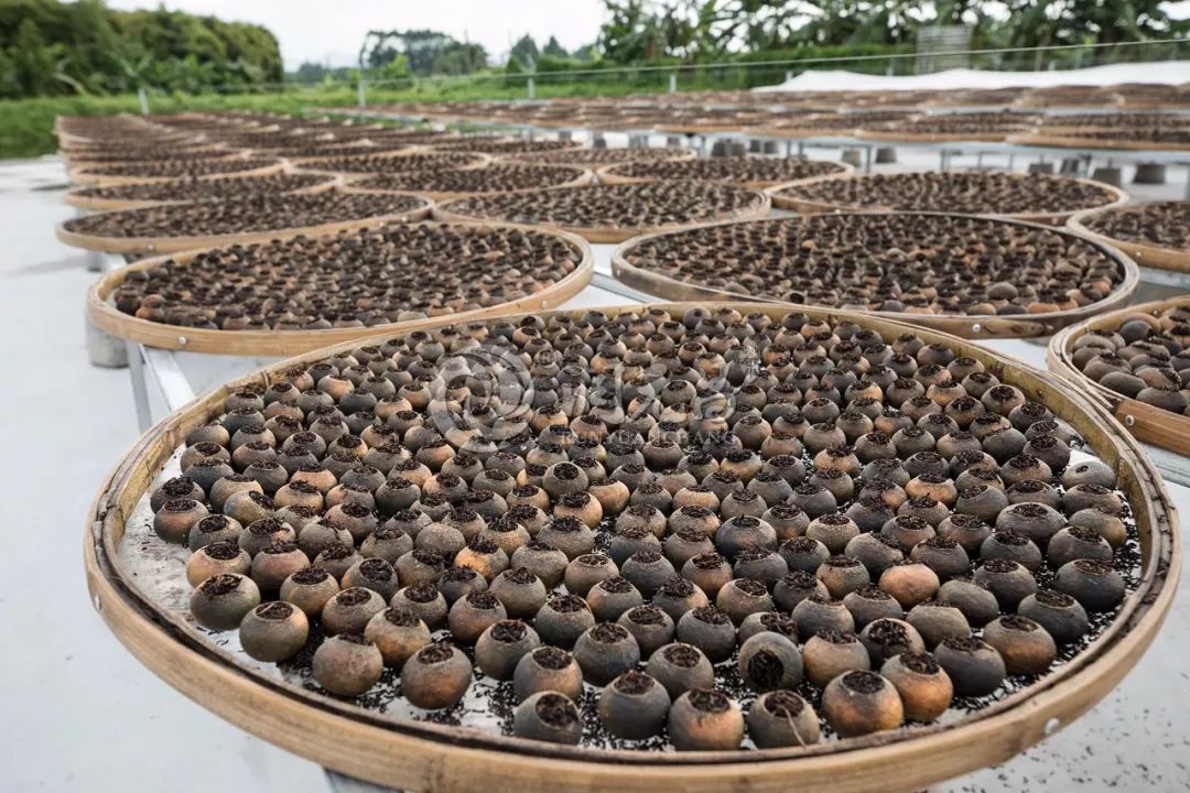 润元昌柑普茶-2