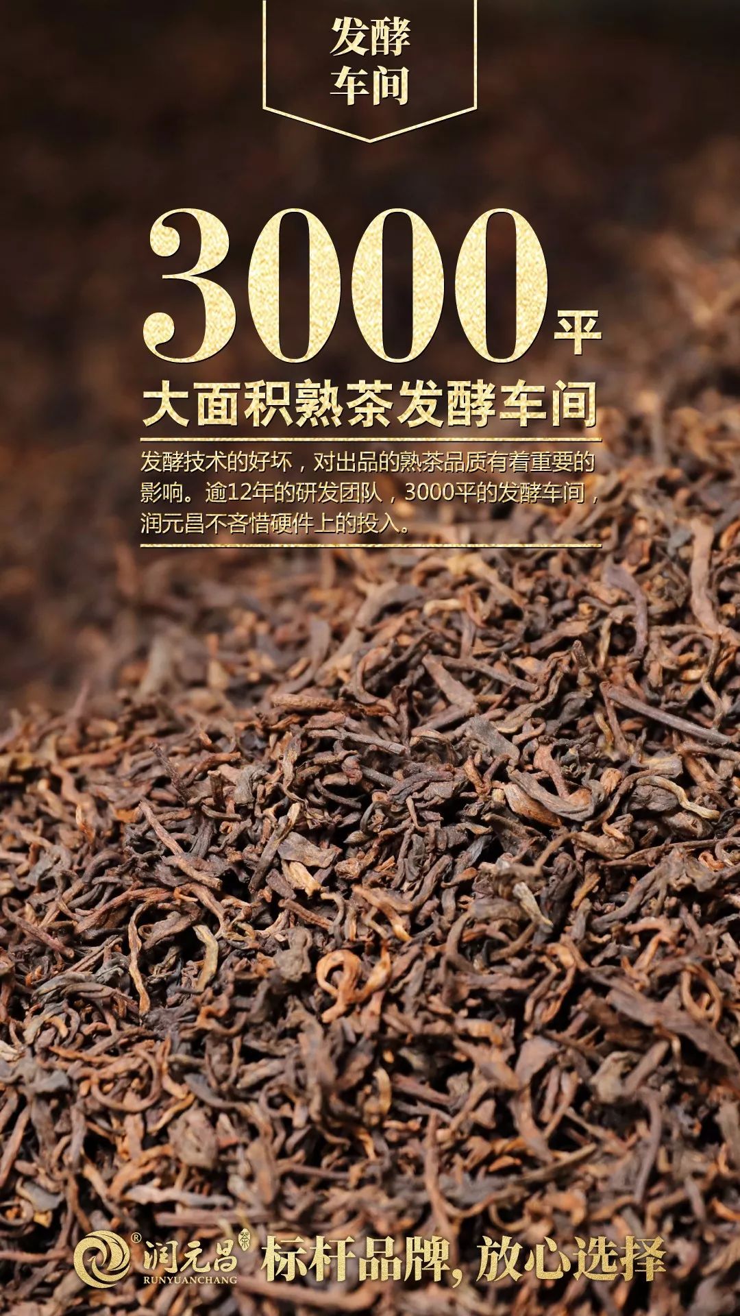 润元昌柑普茶-4